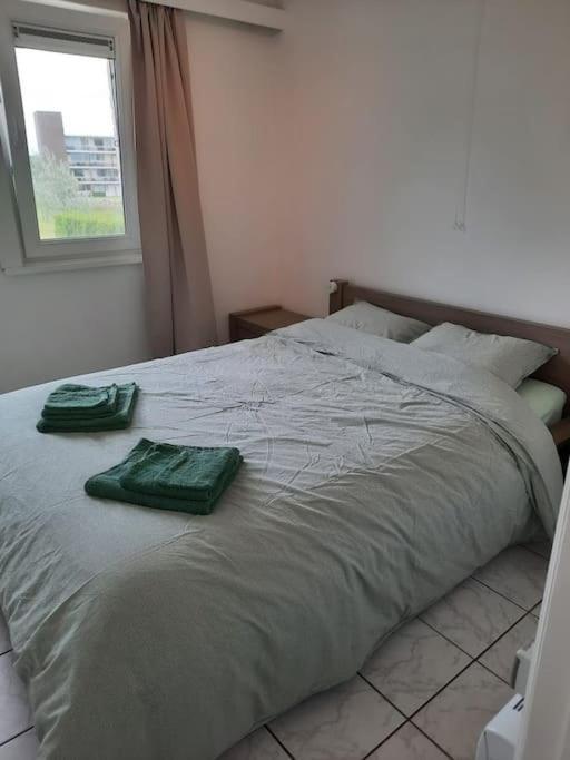 Spacieux Duplex Pres De La Mer 4 Chambres 2 Sdb دي هان المظهر الخارجي الصورة